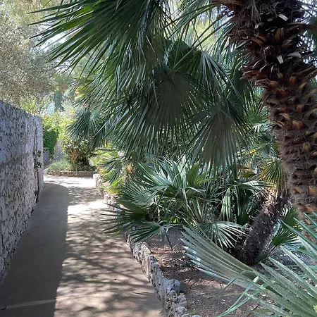 Shanti * Anacapri (Isola di Capri)